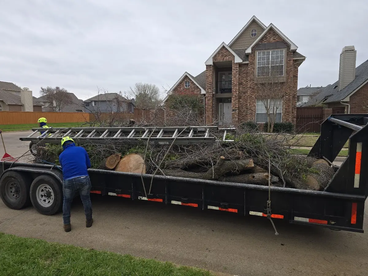 Expert Tree Removal with proper safety equipment in Quinton